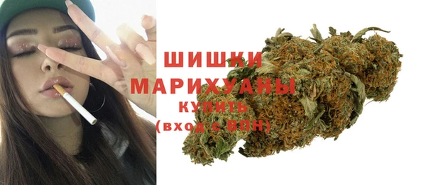 индика Наволоки